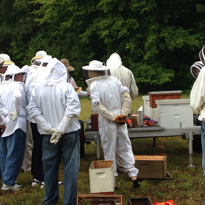Queen Rearing Students in the Bee Yard